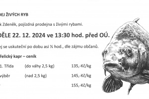 Prodej živých ryb v neděli 22.12.2024 ve 13:30 hod.